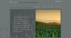 Desktop Screenshot of c3cap.com
